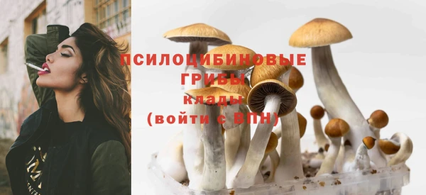 СК Осинники