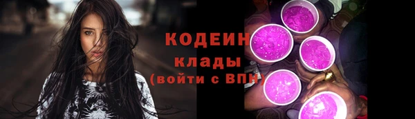 СК Осинники